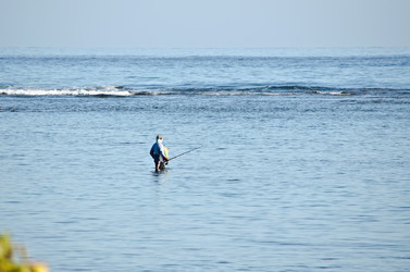 Similar image 958366