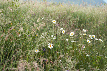 Similar image 958370