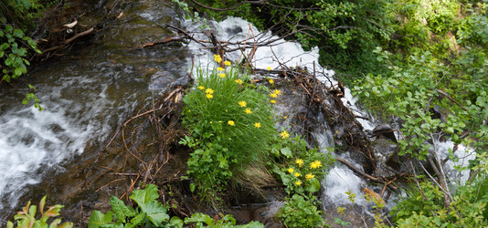 Similar image 958387