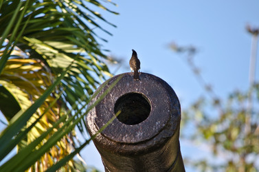 Similar image 958398