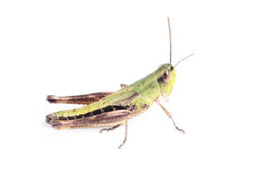 Similar image 958408