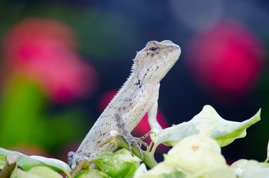 Similar image 958416