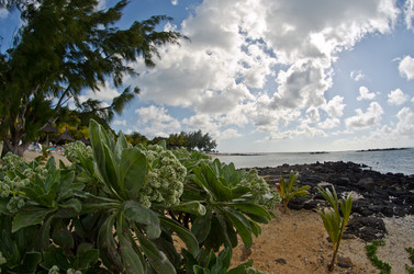 Similar image 958424