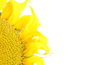 Similar image 958427