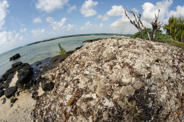 Similar image 958430