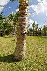 Similar image 958435