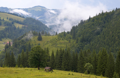 Similar image 958442