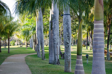 Similar image 958467