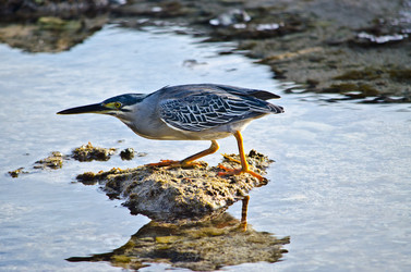 Similar image 958468