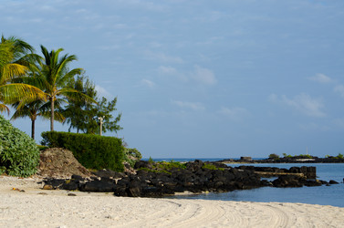 Similar image 958469