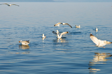 Similar image 958482