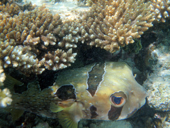 Similar image 958486