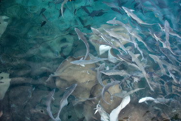 Similar image 958499