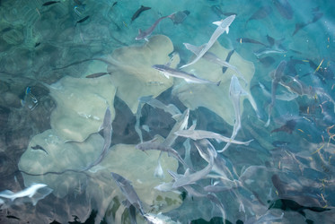 Similar image 958500