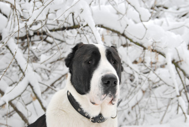 Similar image 958511