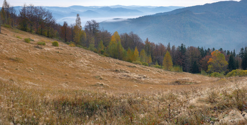 Similar image 958535