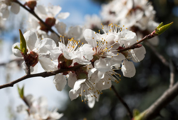 Similar image 958572