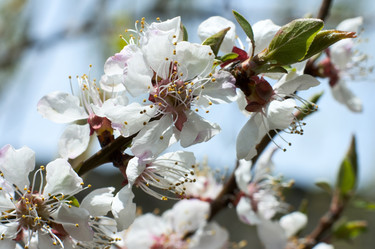 Similar image 958573