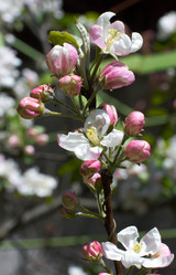 Similar image 958574