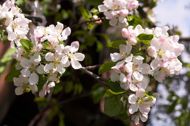 Similar image 958575