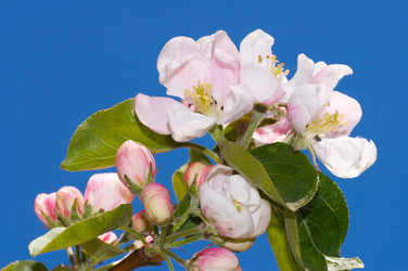 Similar image 958578