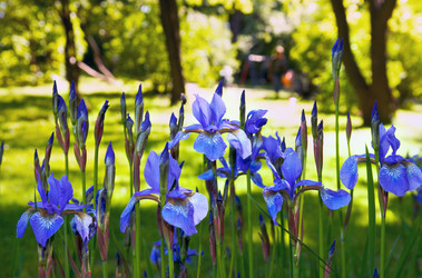 Similar image 958584