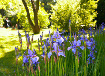 Similar image 958585