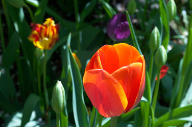 Similar image 958615