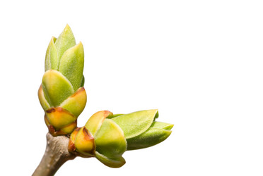 Similar image 958630