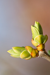 Similar image 958631