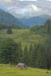 Similar image 958660