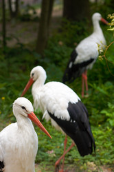 Similar image 958665