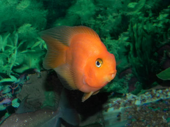 Similar image 958718