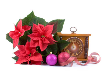 Similar image 958722