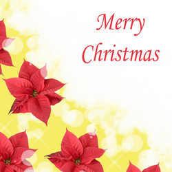 Similar image 958746