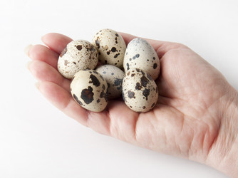 Similar image 958811