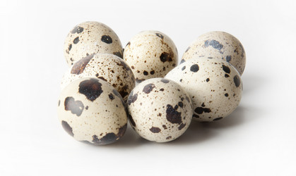 Similar image 958812