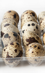 Similar image 958814