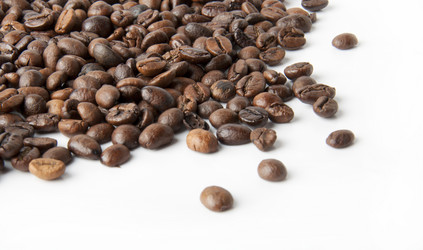 Similar image 958824