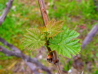 Similar image 958884