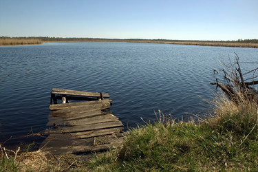 Similar image 958905