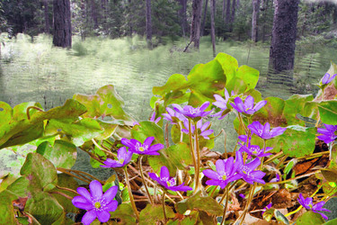 Similar image 958929