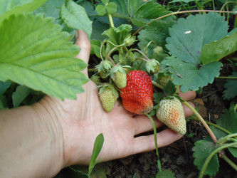 Similar image 959016