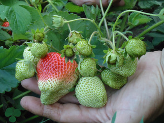 Similar image 959017