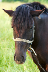 Similar image 959047