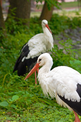 Similar image 959055