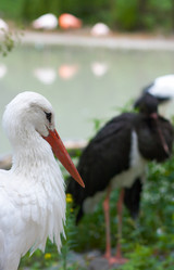 Similar image 959056