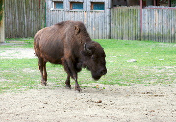 Similar image 959065