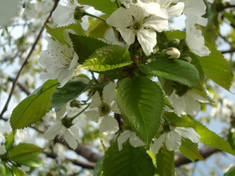 Similar image 959067