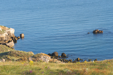 Similar image 959074